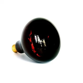 Ampoule infrarouge de 250 watts