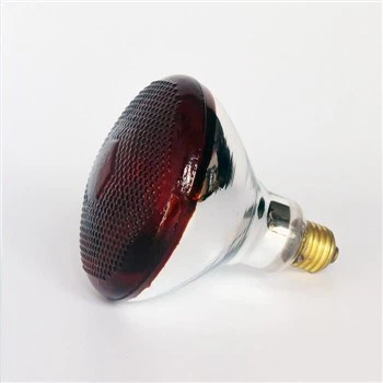 Ampoule infrarouge 250w