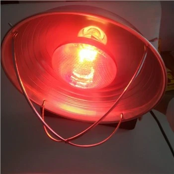 Lampe chauffante infrarouge Ampoule de reproduction avec abat-jour